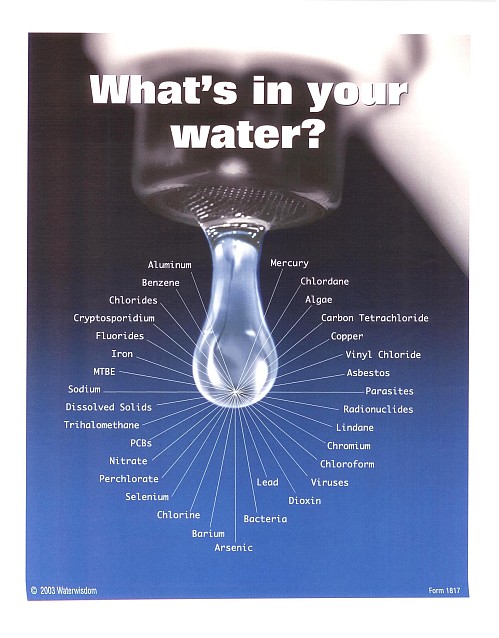 Bottled Water Vs Tap Water