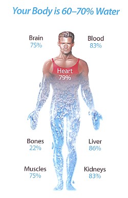 importance of drinking water