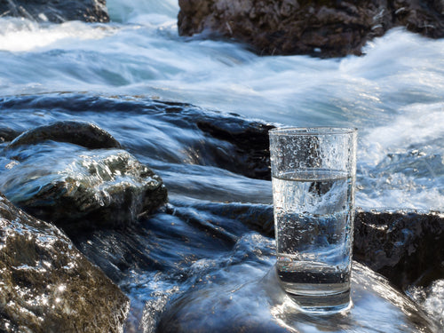 glass of water by mountain stream
