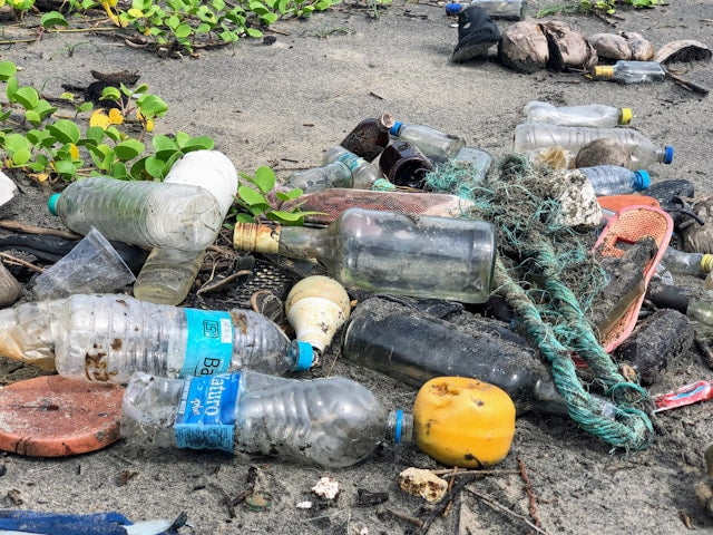 plastic bottle waste on beach